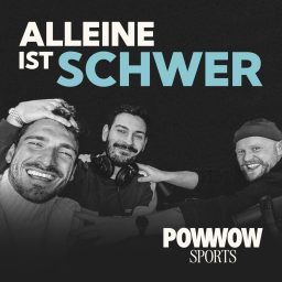 Artwork for Alleine ist schwer