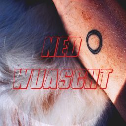 Artwork for Ned Wuascht