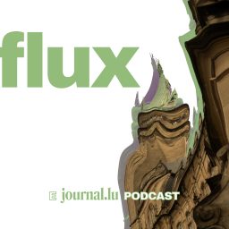 Artwork for flux