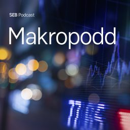 Artwork for Makropodd