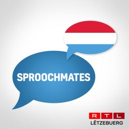 Artwork for RTL - Sproochmates