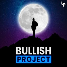 Artwork for bullish project