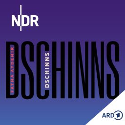 Artwork for DSCHINNS