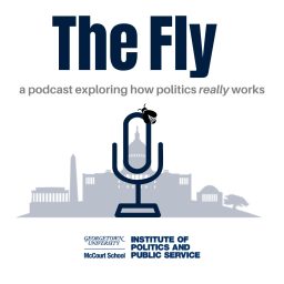 Artwork for The Fly