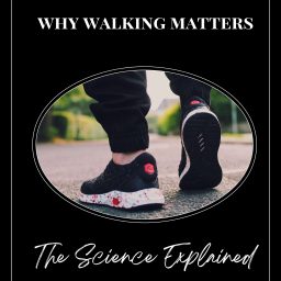 Artwork for Why Walking Matters: The Science Explained