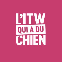 Artwork for L'interview qui a du chien