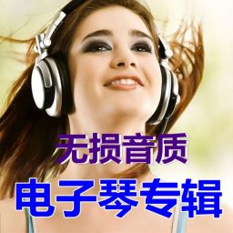 Artwork for 电子琴纯音乐