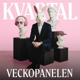 Artwork for Veckopanelen