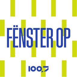 Artwork for Fënster Op