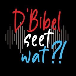 Artwork for D’Bibel seet wat?!