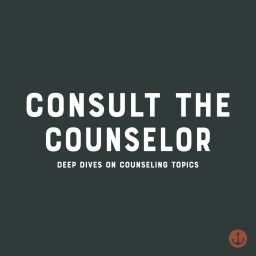 Artwork for Consult the Counselor