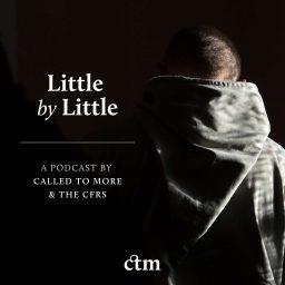 Artwork for Little by Little