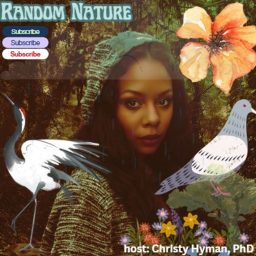 Artwork for Random Nature