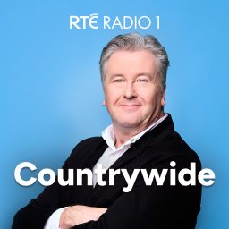 Artwork for CountryWide