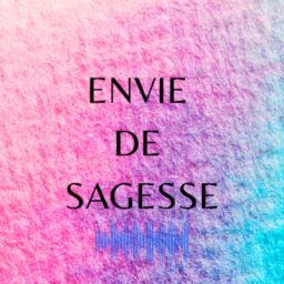 Artwork for Envie de sagesse