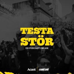 Artwork for Testa Stör