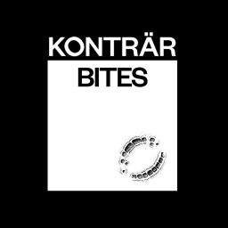 Artwork for Konträr bites