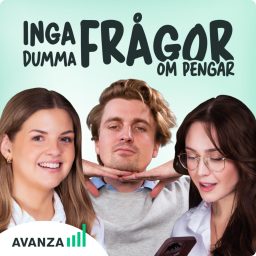 Artwork for Inga dumma frågor om pengar