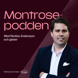 Artwork for Montrosepodden