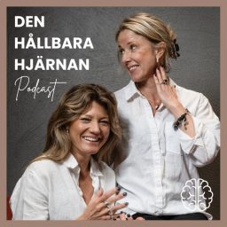 Artwork for Den hållbara hjärnan