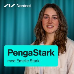 Artwork for PengaStark