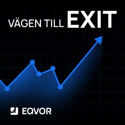 Artwork for Vägen till Exit