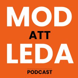 Artwork for Mod att leda