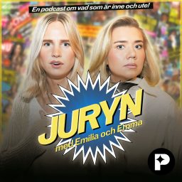 Artwork for Juryn