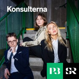 Artwork for Konsulterna