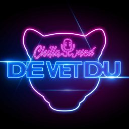 Artwork for Chilla med De Vet Du