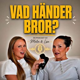 Artwork for Vad händer bror?
