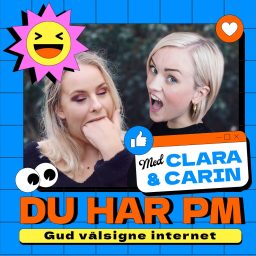 Artwork for Du har PM