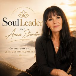 Artwork for SoulLeader