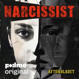 Artwork for Narcissist