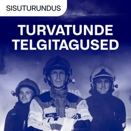 Artwork for Turvatunde telgitagused