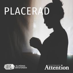 Artwork for Placerad