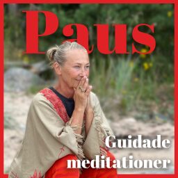 Artwork for Paus - guidade meditationer
