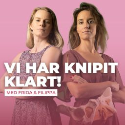 Artwork for Vi har knipit klart!