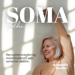 Artwork for Soma Podden