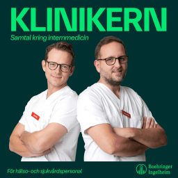 Artwork for Klinikern