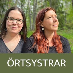 Artwork for Örtsystrar