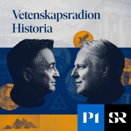 Artwork for Vetenskapsradion Historia