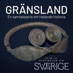 Artwork for Gränsland