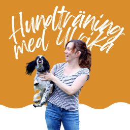 Artwork for Hundträning med Ulrika