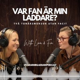 Artwork for Var fan är min laddare?