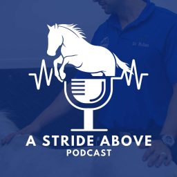 Artwork for A Stride Above!