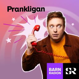 Artwork for Prankligan
