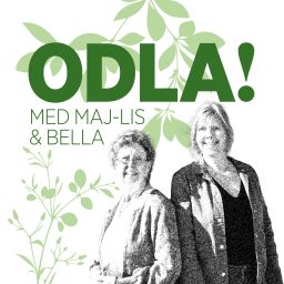Artwork for ODLA!