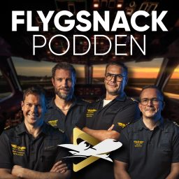 Artwork for Flygsnackpodden