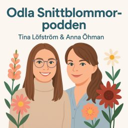 Artwork for Odla Snittblommor-podden